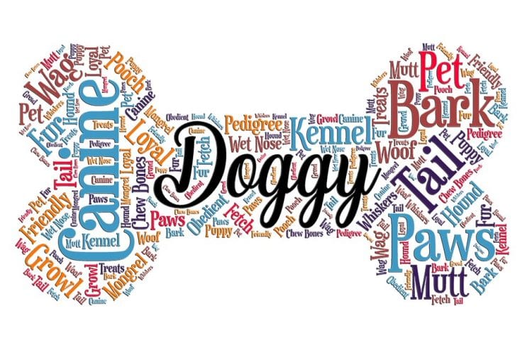a large variety of words in the shape of a bone